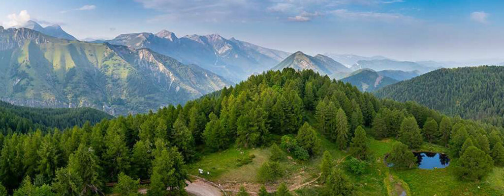 Bosco delle Navette